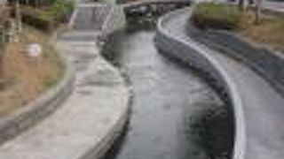 新盛緑川水岸廊道