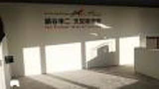 ３Ｄ映像は迫力があり楽しめた