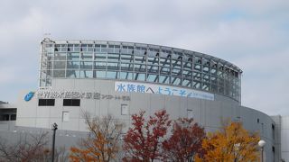 充実した、淡水魚専門の水族館