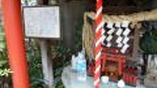 何もかもがコンパクトです