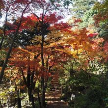 泉恵園