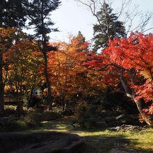 中野邸記念館の庭