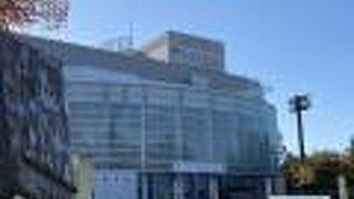 ティアラこうとう