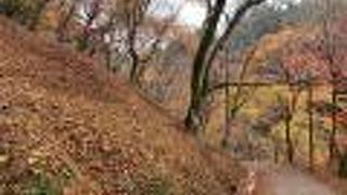 道中も素晴らしい