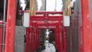 開発の嵐に耐えきりました。