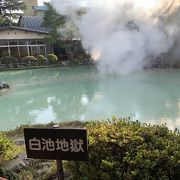 別府地獄めぐり・白池地獄