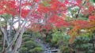 和歌山城にある紅葉のスポット