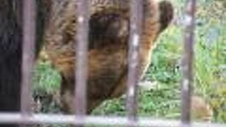 すこし見辛いですが