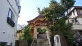 大変きれいに手入れされたお寺でした