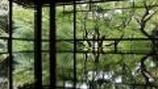 今や誰もが知っているあのリフレクションの光景、実物はさらに美しい