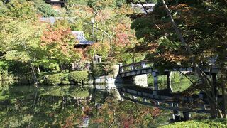 境内はとにかく広くて見どころ満載