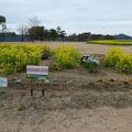 鳴門ウチノ海総合公園