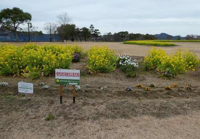 鳴門ウチノ海総合公園