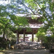 菩提寺に相応しい、大きくて立派な門です。