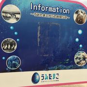 たっぷり遊べる水族館