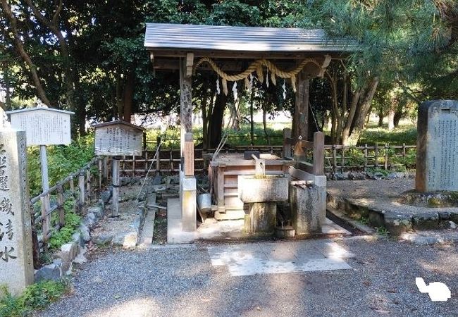 磯清水 クチコミ アクセス 営業時間 天橋立 宮津 フォートラベル