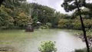 雲形の池の中央にあります