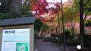 有馬温泉の紅葉スポット