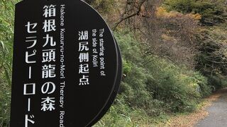 湖尻から箱根神社まで遊歩道で紅葉を堪能