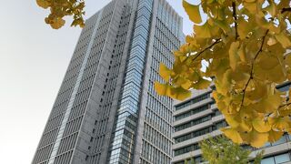 【丸の内】秋の丸の内ビルディング、ツリーが素敵！