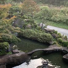 玄関前にきれいな池があり、錦鯉がいます。