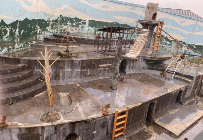 函館市熱帯植物園 クチコミ アクセス 営業時間 湯の川温泉 フォートラベル 函館市熱帯植物園 クチコミ アクセス 営業時間 湯の川温泉 フォートラベル