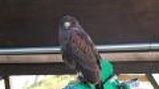 そこまで大きい施設ではないけど