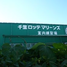 千葉ロッテマリーンズの屋内練習場です。建物の東側を見ています