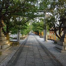 長い参道