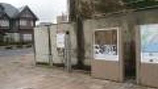 写真映りの良いところに移したら・・・。