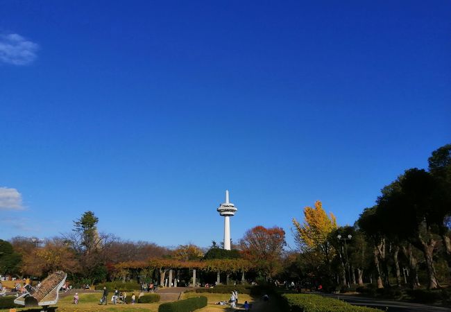 県営所沢航空記念公園 クチコミ アクセス 営業時間 所沢 フォートラベル