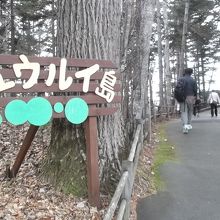 チュウルイ島上陸