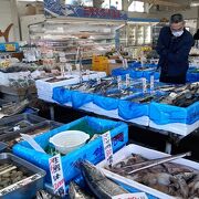 買って帰りたくなる新鮮な魚がずら～り。