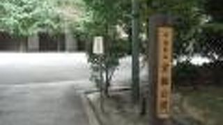 意外にも遊具が充実した、オフィス街の公園