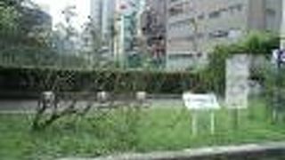 バラのゲートや藤棚がある、花の美しい公園