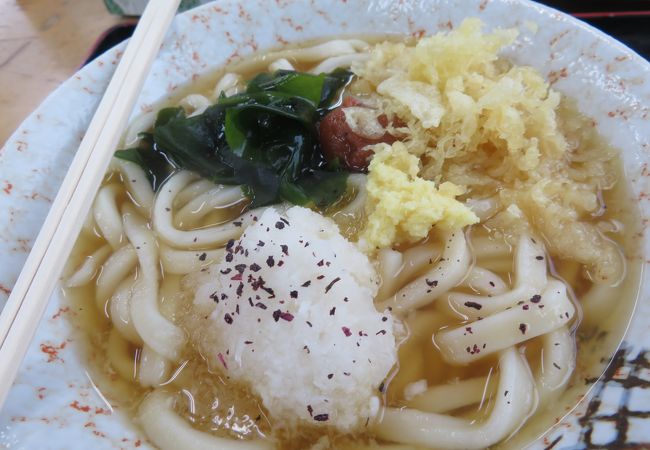 梅しそぶっかけうどん