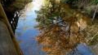 マイナスイオンたっぷり