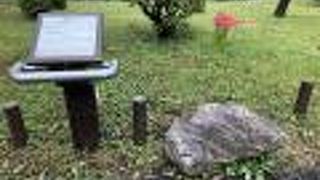 触ることもできます