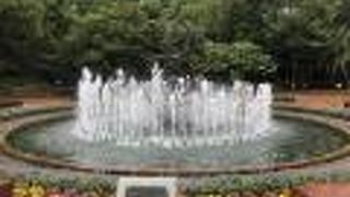 しゅっとしたデザインです