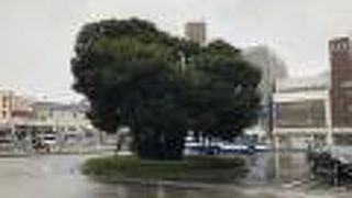 ロータリーにあります