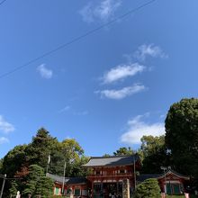 空が綺麗です。