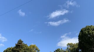 龍繋がりで、八坂さんへ