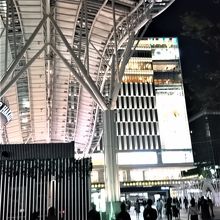 夜のイルミネーションが綺麗