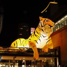 サーキュラキー駅舎にいた虎