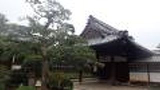 案内板と手書きの「中宮寺」という看板の脇の門から中に入ると、「えっ？」という感じの規模の小さいことに驚きます。