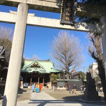 人出はちらほら