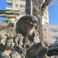 入って右手の狛犬