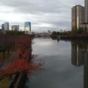 大阪城が見えます