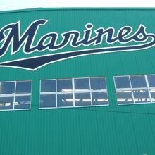 千葉ロッテマリーンズのMarinesの文字が鮮やかです。