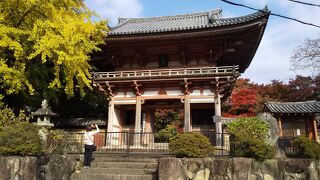 こんなお寺があったんだ